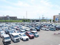 多くの出品車が集まった
