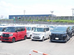 多くの出品車が集まった