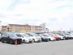 小売り向けダマが数多く並ぶ