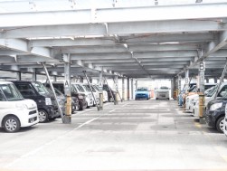 小売り向けダマが数多く並ぶ