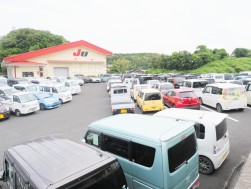 常設４０周年を迎えたJU島根セリ会場