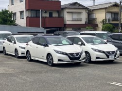 ＡＡ会場にも日産「リーフ」が多く出品され始めた（写真はＮＡＡ大阪会場）