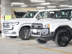 バラエティ溢れる出品車が並ぶ