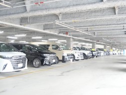 バラエティ溢れる出品車が並ぶ