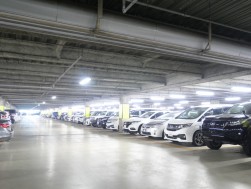 多数の出品車が集まった