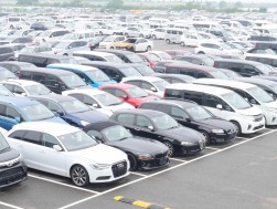 多数の出品車が並ぶ