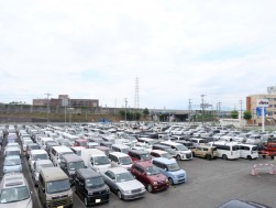 出品台数４３４台を集めた