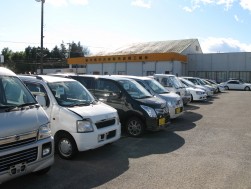 人気の軽自動車も充実