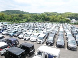 多くの出品車が集まった