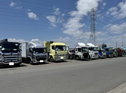 多数の出品車が並ぶ
