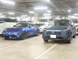 良質な出品車が並ぶ