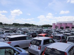 多数の出品車がヤードを埋め尽くした
