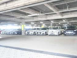 良質な出品車が集まった
