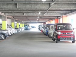 良質な出品車が集まった