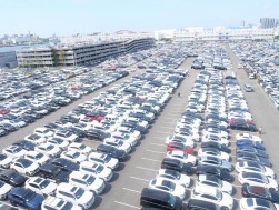 出品台数９５６５台を集める