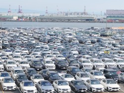 多くの出品車が集まる