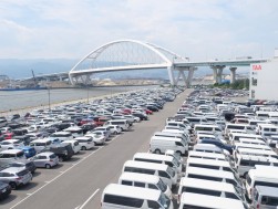 多くの出品車で盛り上がる