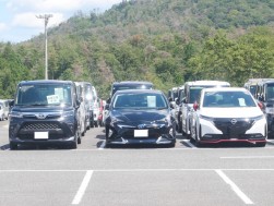１０００台を超えるセリで賑わった