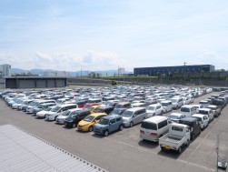 ディーラーの良質な中古車がセリを盛り上げた