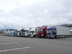 良質なトラックがセリをけん引する