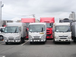 良質なトラックがセリをけん引する