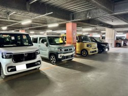 軽自動車も良質車が揃い活発に競られる