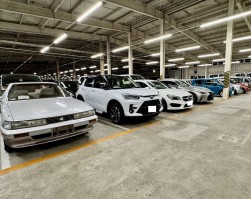 バラエティに富んだ出品車が並ぶ