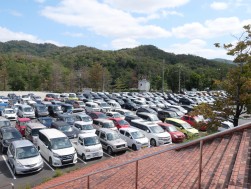 多くの出品車でセリを盛り上げる