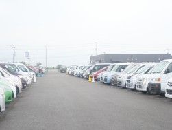 出品・成約台数、成約率全てで今年最高実績を記録した