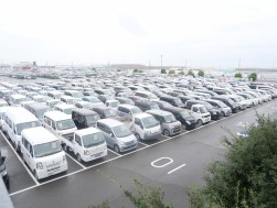 多くの出品車が集まる