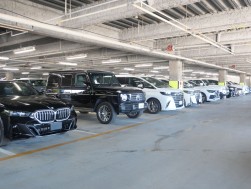 良質な出品車が並ぶ