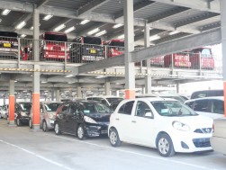 良質な中古車がセリを盛り上げた