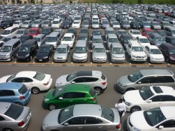 ヤードを埋め尽くした出品車