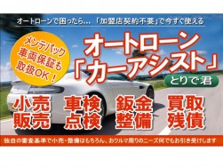 「カーアシスト」“とりで君”