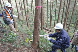 間伐作業に取り組む参加者