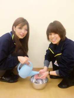 くみ上げた清水で５００年玉を洗うスタッフ