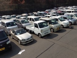 3月末までの特設 軽四コーナーにも２５０台を超える集荷