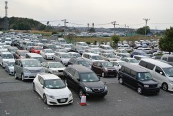 良質車が多数並ぶアップルコーナーの出品車