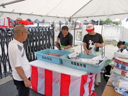 釣った魚は手際よく血抜きと保存処理がされていた