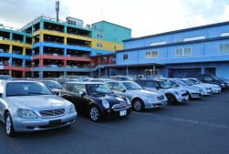 同会場に並ぶ良質車