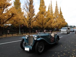 銀杏並木を走るクラシックカー