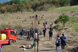 ３１１本の桜を手分けして植樹