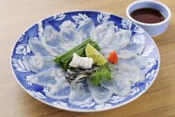 透き通る見た目も美しいふくの刺身（てっさ）