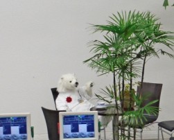 社員から塩原社長の記念日にプレゼントされた白熊（胸には社長名の名札がつけられている）