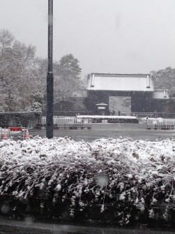 14日、朝から積雪となった都内（写真は皇居周辺）