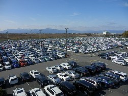 出品ヤードもほぼ満車状態