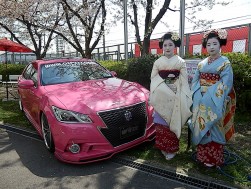 満開の桜の木の下で舞妓さんとピンククラウンのＯＥＤフルエアロバージョン