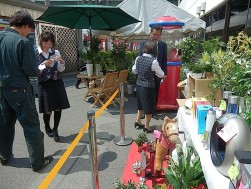 抽選会も桜の木の下で開催