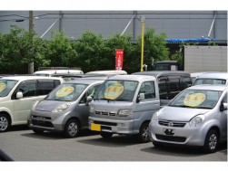 落札賞付き出品車がならぶ入札会会場