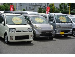 落札賞付き出品車がならぶ入札会会場